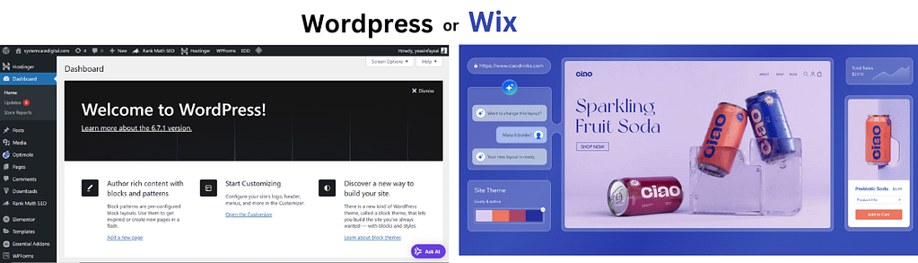 WordPress or wix